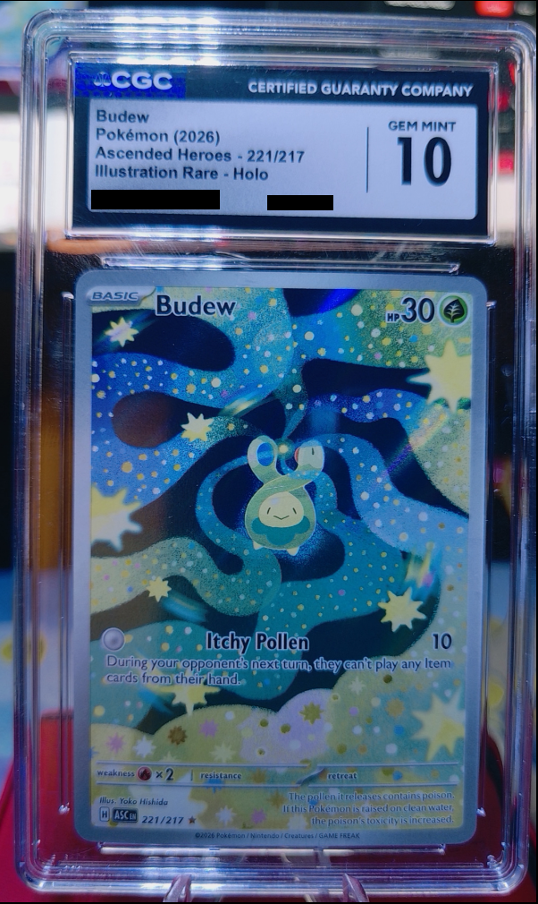 Budew #221/217 Ascended Heroes CGC 10