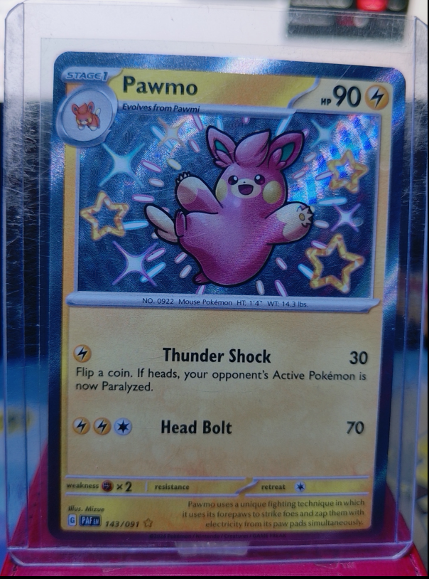 Pawmo #143/091 Paldean Fates
