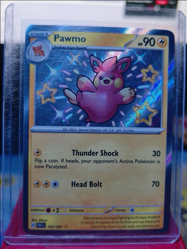 Pawmo #143/091 Paldean Fates