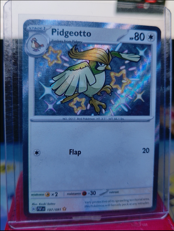 Pidgeotto #197/091 Paldean Fates