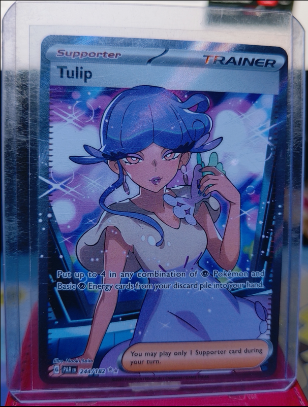 Tulip #244/182 Paradox Rift