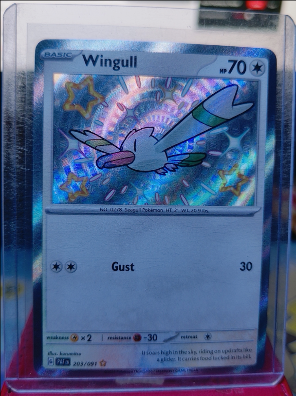 Wingull #203/091 Paldean Fates