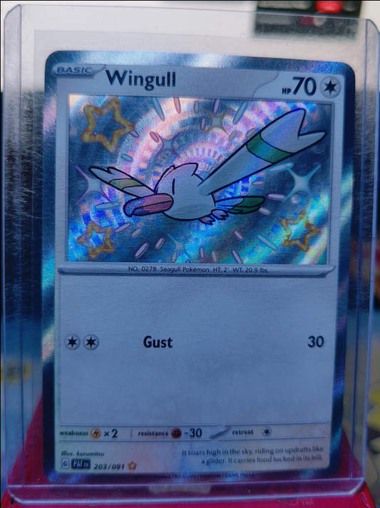Wingull #203/091 Paldean Fates
